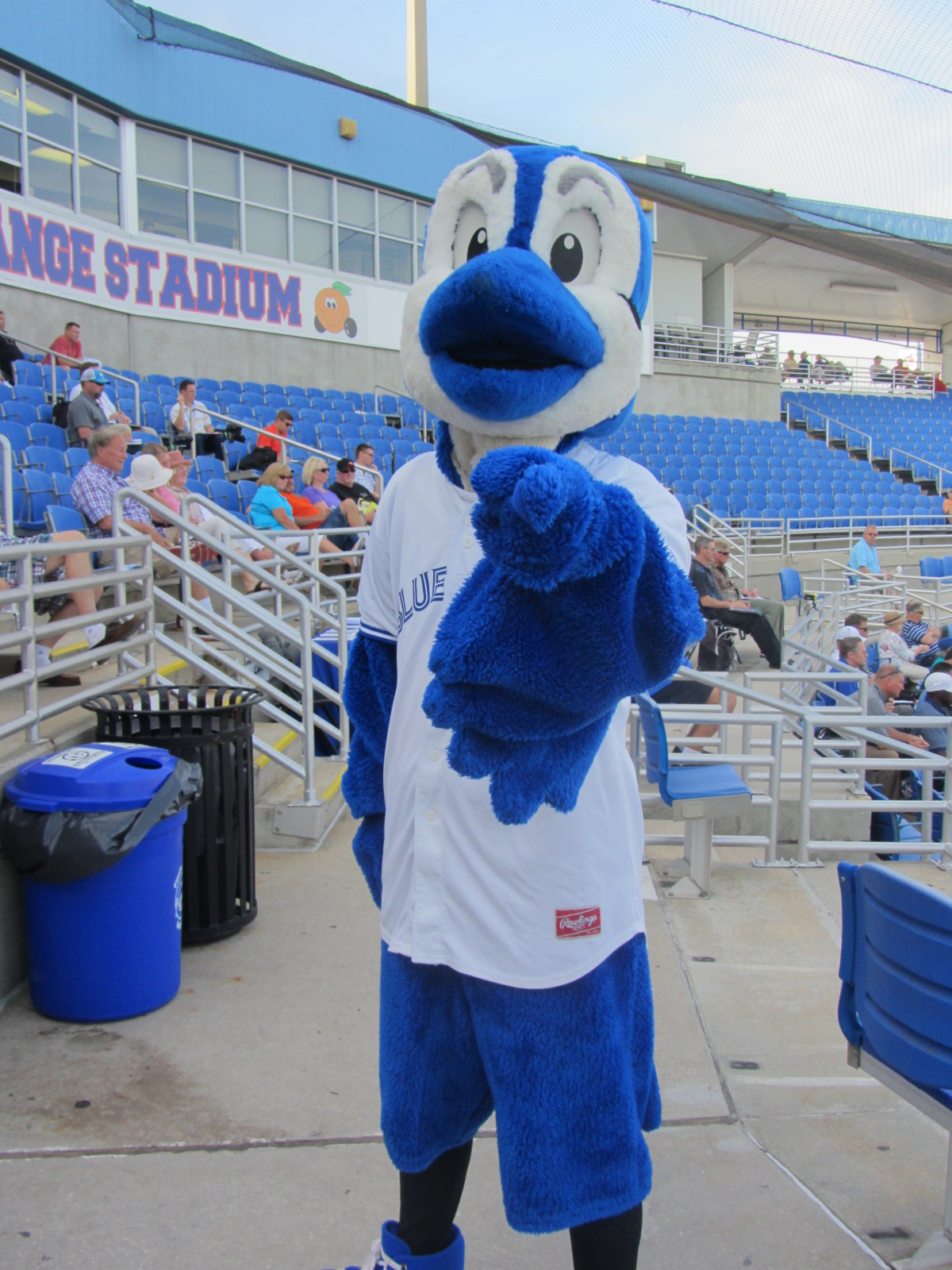dunedin blue jays mascot